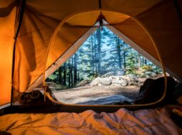 Alex Karman- Outdoors