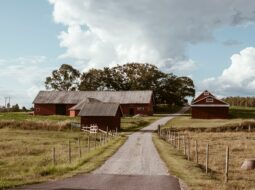 Barns and Boulevards